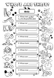 English Worksheet: The 