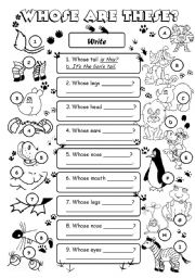 English Worksheet: The 