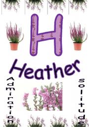English worksheet: floral alphabets - H