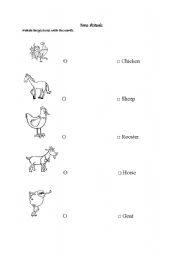 English worksheet:  Farm Animals