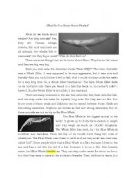 English Worksheet: Blue Whale