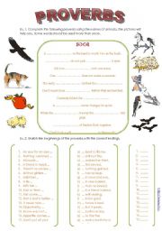 English Worksheet: ENGLISH PROVERBS