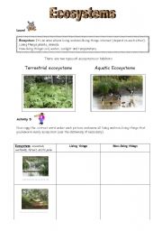 English Worksheet: ECOSYSTEMS