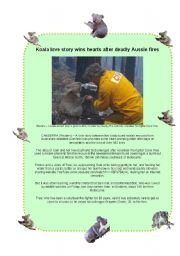 English Worksheet: Sam the Koala is saved from the Bush Fires (3 pages)