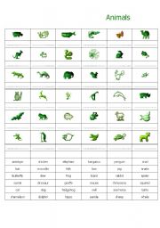 English worksheet: Animals