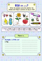 English Worksheet: Big or Little Part 1