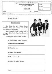 the jonas brothers - english test