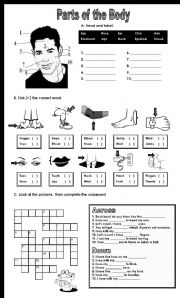 English Worksheet: Parts of the body