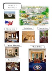 The White House - picture