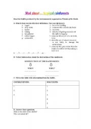 English worksheet: Rainforests