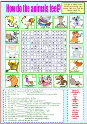 English Worksheet: HOW DO THE ANIMALS FEEL?