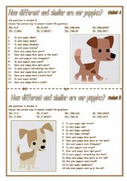 English Worksheet: ARE OUR PUPPIES TWINS?