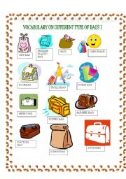 English Worksheet: PICTIONARY: DIFFERENT TYPES OF BAGS 1