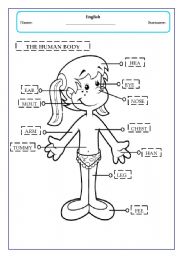 English Worksheet: the human body - girl