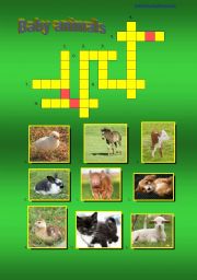 English Worksheet: Baby Animals - a crossword