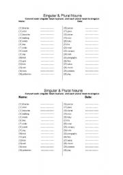 English Worksheet: Singular and plural nouns