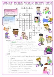 English Worksheet: WHAT DOES YOUR  BODY DO? Crossword (+key) 