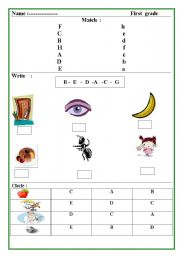 English Worksheet: letters