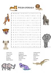 English Worksheet: WILD ANIMALS