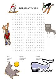 English worksheet: POLAR ANIMALS