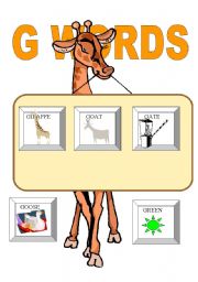 English Worksheet: ALPHABET: G WORDS