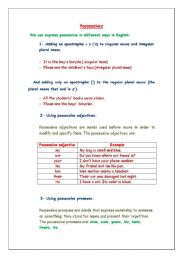 English worksheet: Possessive formation