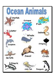 English Worksheet: Ocean Animals