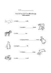 English Worksheet: Wild Animals CAN/CANT