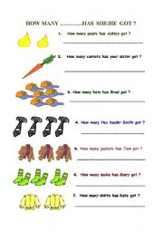 English Worksheet: How many ................ has  she /he got ?