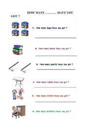 English worksheet: How many .............. have you got ?