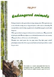 Project: endangered animals (7 pages)