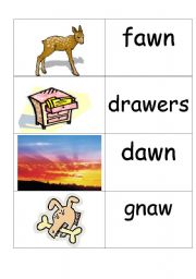 English Worksheet: words / picture cards that contain aw part 2