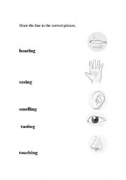 English worksheet: senses