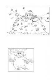 English Worksheet: animals