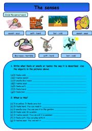 English Worksheet: The senses