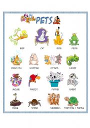 English Worksheet: Pets