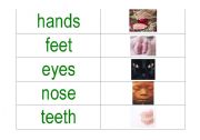 English worksheet: body parts word and picture match