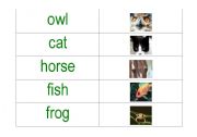 English worksheet: animal word picture cards