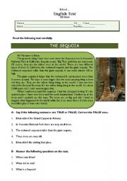 English Worksheet: Test - Sequoia trees