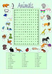 Animals wordsearch and matching