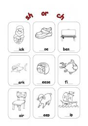 English Worksheet: sh or ch