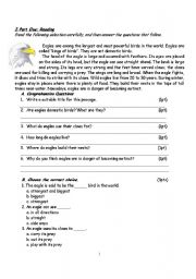 English Worksheet: Eagles