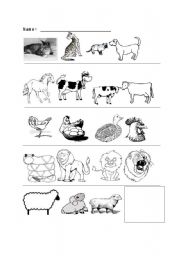 English worksheet: differences in farm animals