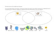English Worksheet: Units of measure VENN