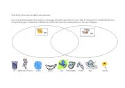 English worksheet: Units of measure VENN