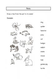 English worksheet: Matching pets