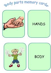 Body parts memory cards - part 1 of 2