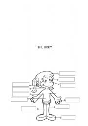 English worksheet: The body