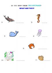 English Worksheet: What are these sea animals ?