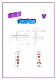 English worksheet: Parts of the face Crossword